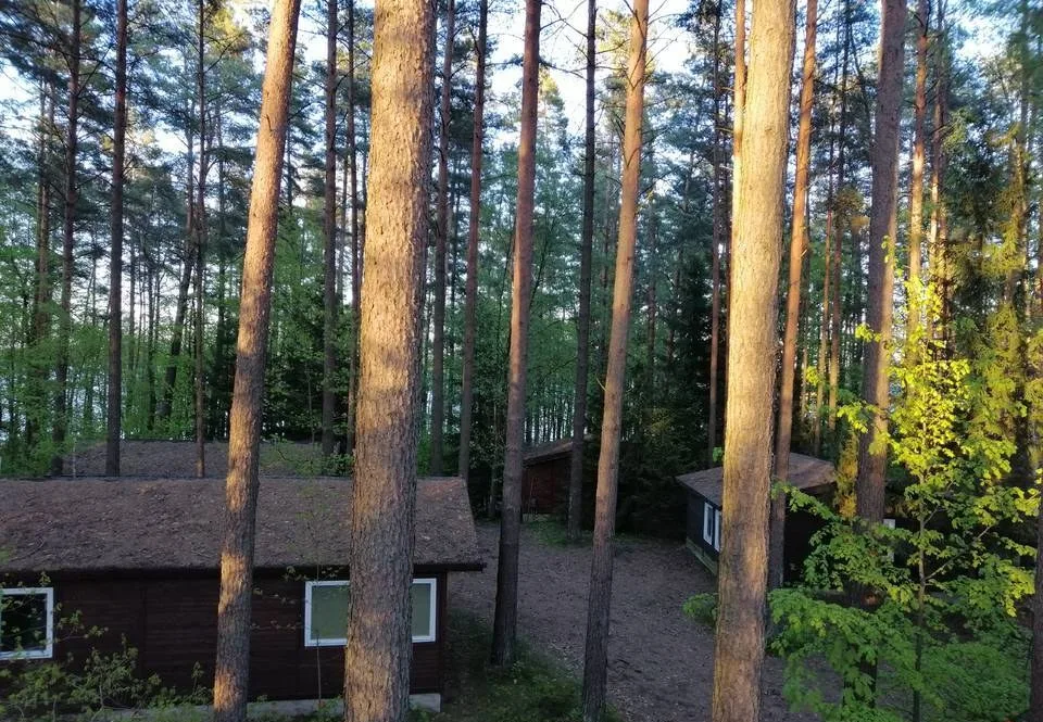 Domek Sarenka na Mazurach nad jeziorem Sasek Wielki nocleg