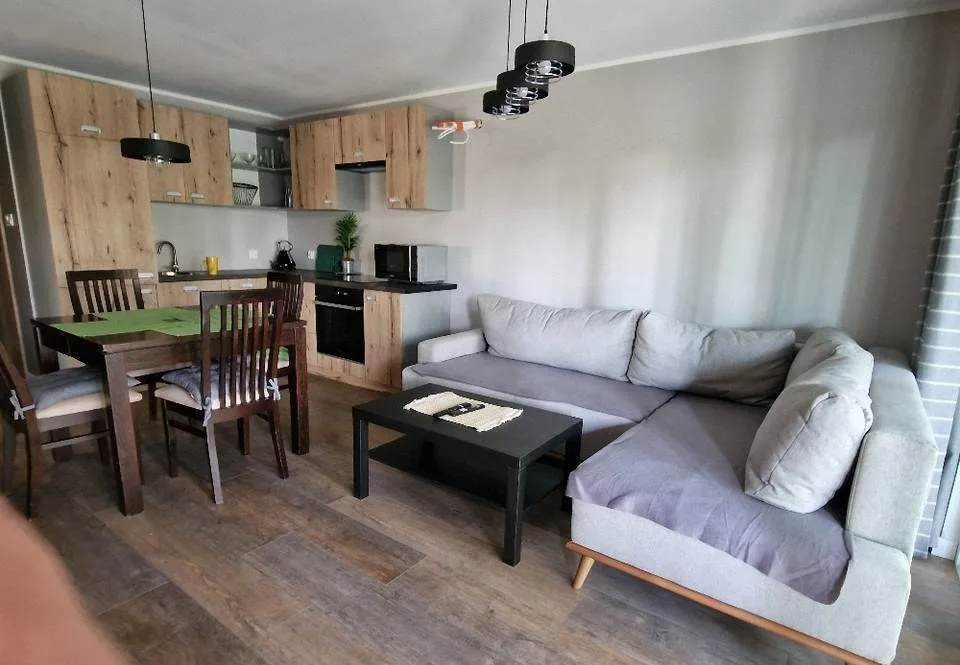 Apartament jeziorem mieszkanie pokoje wynajem domek Borówno