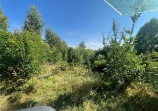 Mulczowanie Wadowice. Karczowanie działek tel. 575-747-470 — zdjęcie 2