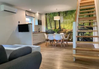 Mazury - 2-10.08 apartament 4-8 os. jezioro plaża łowisko las — zdjęcie 3