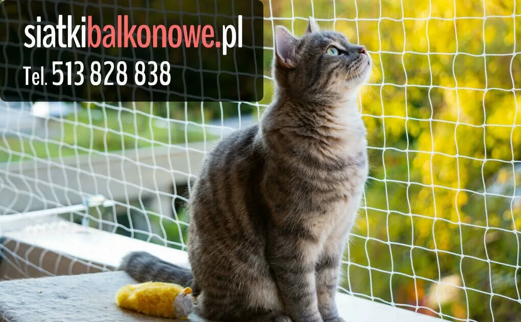 Siatka dla kota, siatka na balkon, siatka balkonowa