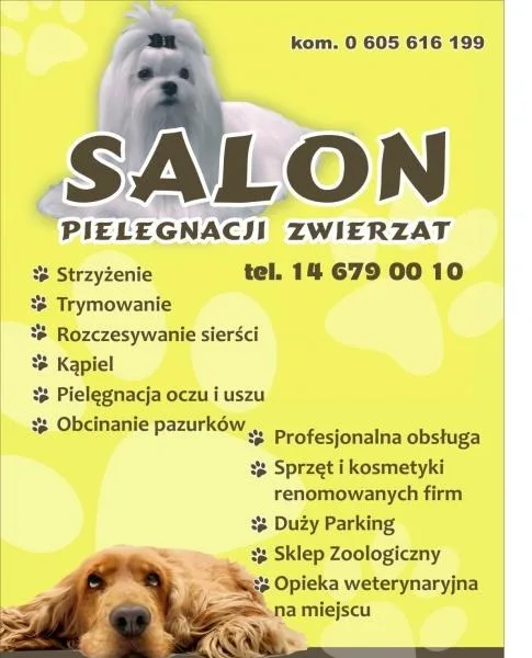 Strzyżenie psów, Salon pielęgnacji-Wojnicz796288080