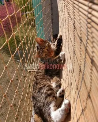 Siatka dla kota, siatka na balkon, siatka balkonowa — photo 5