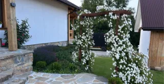 Domek wynajem panieński urodziy imieniny, imprezy. Jaccuzi, sauna — zdjęcie 10