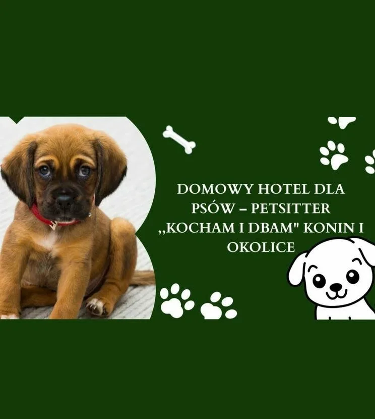 Opieka domowa pieskow- petsitter