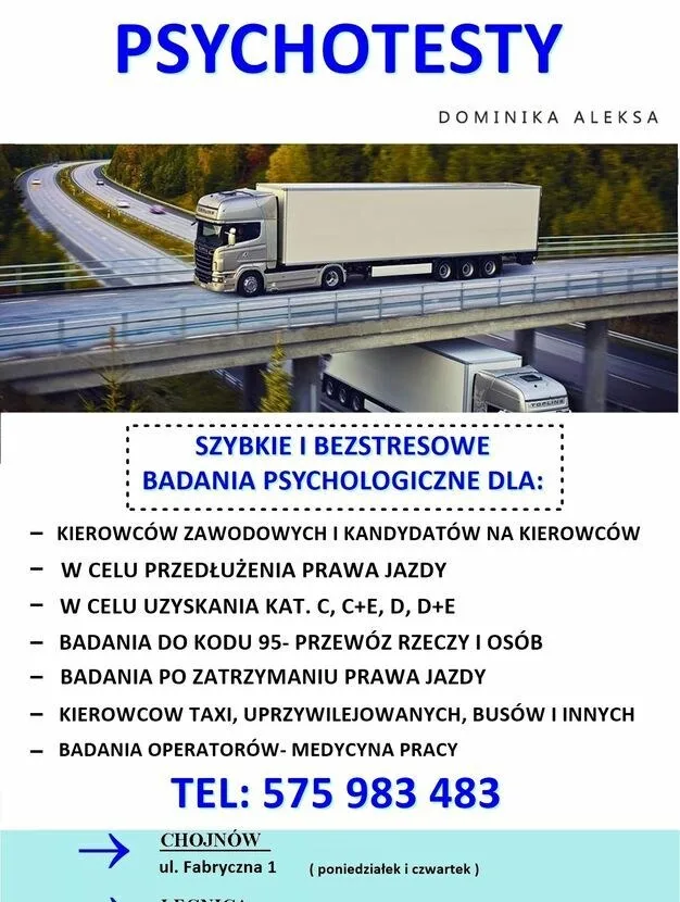 PSYCHOTESTY Chojnów- Dominika Aleksa- badania psychologiczne