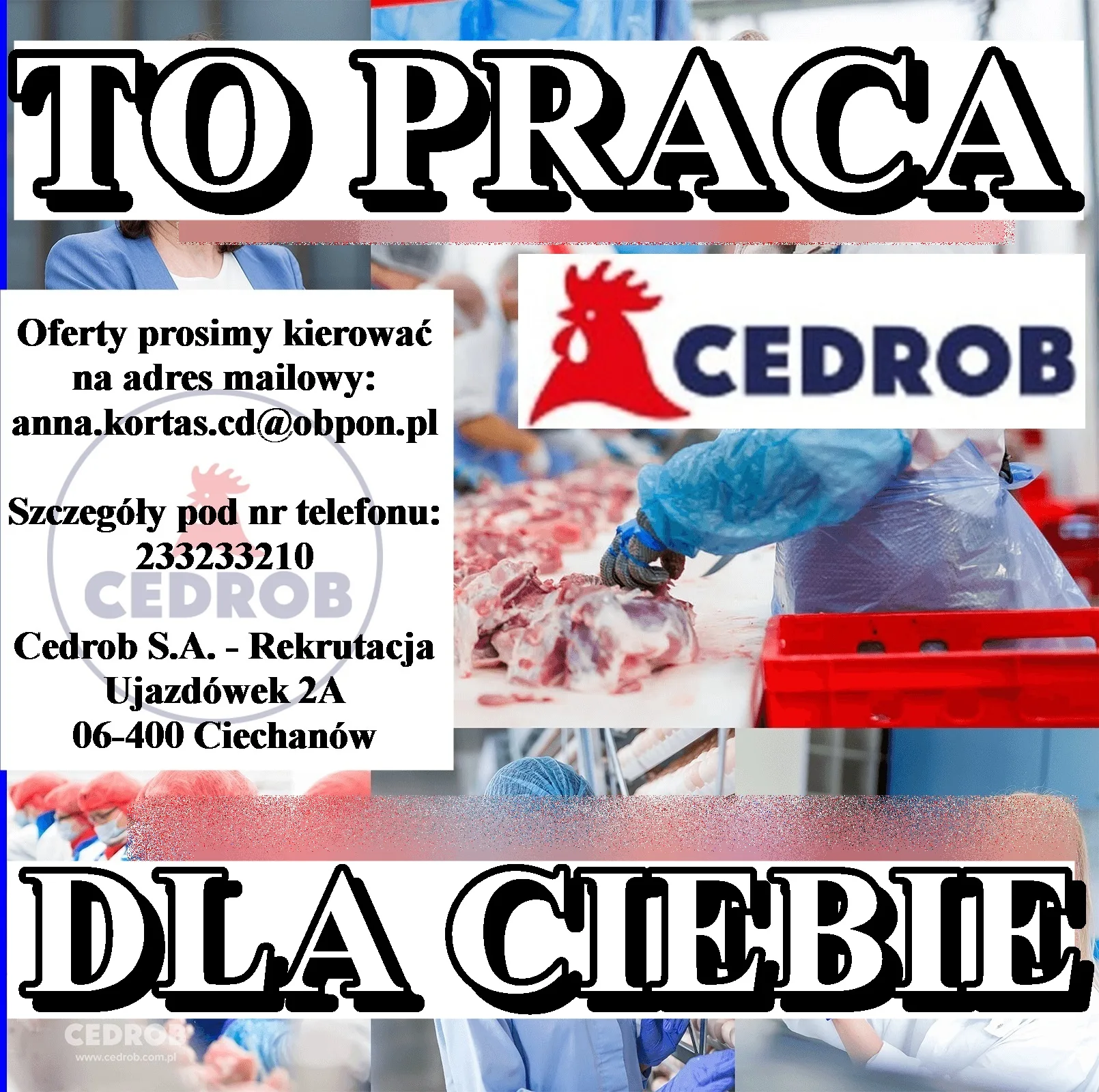 Pracownik produkcji - sekcja patroszenia, rozbioru, pakowania i paletyzacji (K/M) Ujazdówek